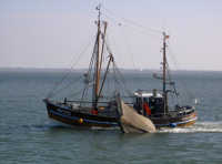 Krabbenkutter vor Norderney