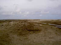 Norderney Naturschutzgebiet altes Schiffswrack Insel Ende Wrack Landschaft