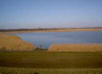 Naturschutzgebiet Polderdeich Vogelschutzgebiet Germany Ostfriesland Seen Polderdeich