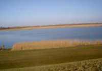 Ostfriesland Naturschutzgebiet Polderdeich Vogelschutzgebiet Ostfriesland Seenlandschaft Ney