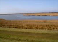 Naturschutzgebiet Ostfriesland Nordsee Polderdeich Vogelschutzgebiet Ostfriesland Wiesen Polderdeich