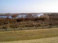 Naturschutzgebiet Polderdeich Vogelschutzgebiet Ostfriesland Norderney Polderdeich
