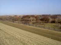 Naturschutzgebiet Ney Aurich Norden Polderdeich Vogelschutzgebiet Ostfriesland Polderdeich Norderney