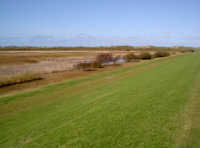 Seen und Tiere Naturschutzgebiet Polderdeich Vogelschutzgebiet Ostfriesland Naturschutzgebiet Polderdeich Norderney Deichschutz Insel