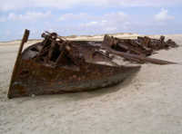 Norderney Naturschutzgebiet Schiffswrack Insel Ende Wrack Richtung Inselende