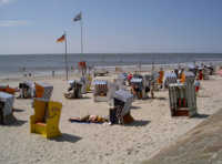 Norderney mit Badekarre und Möwe auf dem Dach Badekarre mit Möwe auf dem Dach