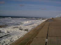 Promenade und Algenschaum Norderney Algen an der Promenade