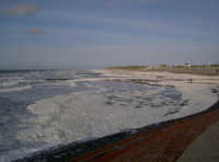 Nordstrand und Algenschaum Nordstrand und Algenschaum