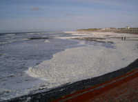 Strand Norderney und Algenschaum Strand mit Algenschaum