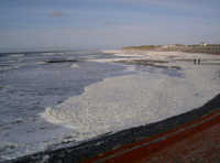 Strand mit Algenschaum