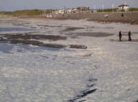 Wellenbrecher und Algenschaum Leute am Strand