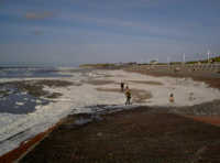 Surfcafe und Algenschaum Surfcafe und Algenteppich