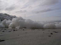 Schaum von Algen am Strand der Nordsee