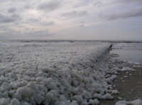 Strand auf Norderney Strand Norderney