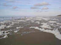 Meerwasser auf Ney Meerwasser in der nordsee