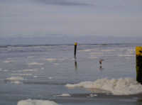 flut Norderney flut Norderney