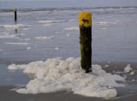 Pfahl in der Nordsee pfahl in der Nordsee