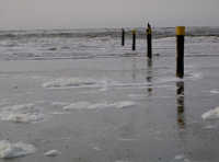 Moewe Nordsee moewe meer