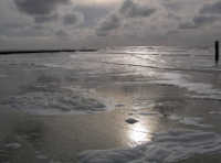 Bild nordsee