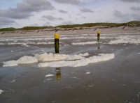 Strandbild Norderney