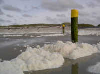 Insel der Nordsee Insel der Nordsee