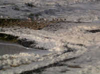 Wellen im Meer Nordsee Wellen Meer Nordsee