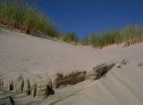 Norderney Dünenlandschaft der Insel