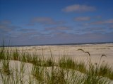 Dünenlandschaft Nordsee Norderney Dünen