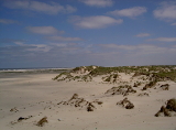 Norderney Dünen Fotolandschaft