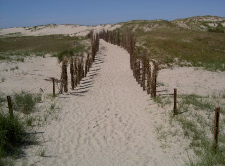 Foto Norderney Dünenlandschaft Nordsee Norderney Dünen im Sand auf der Insel