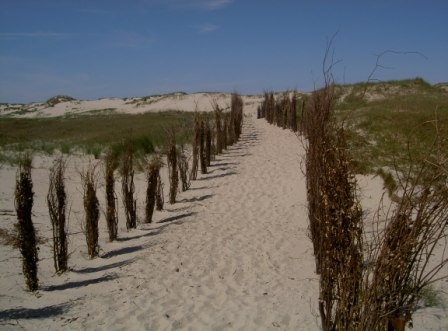 Fotolandschaft in den Dünen der Insel