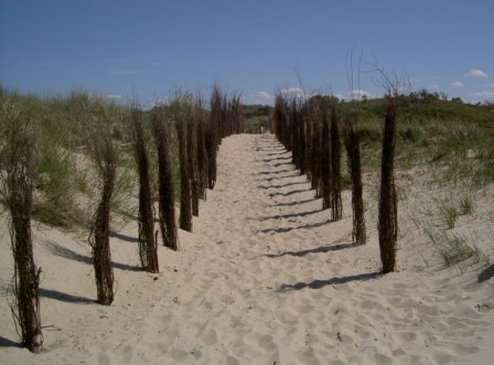 Norderney Dünen