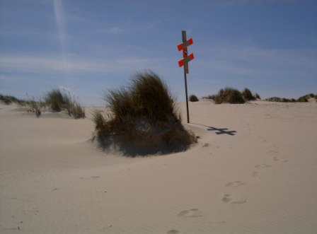 Ney Fotolandschaft Dünen