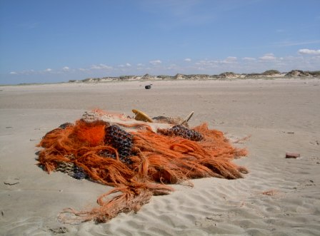 Norderney Dünen der Insel Ney