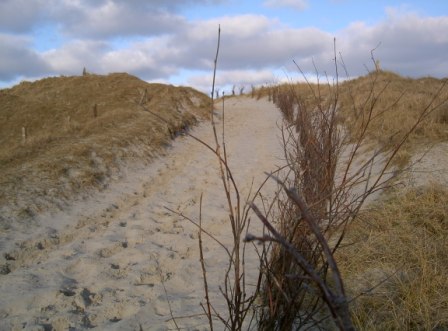 Ostfriesland Dünenlandschaft Ney Norderney landschaft Nordsee