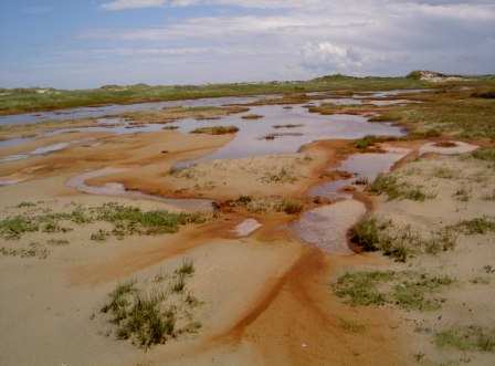 Ostfriesland mit landschaft in der Nordsee Nordsee Dünenlandschaft