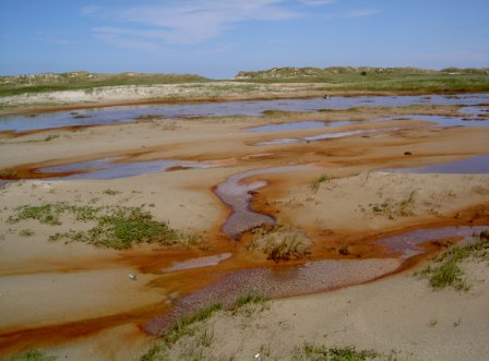  Duenenlandschaft der Insel