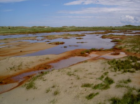 Ostfriesland Dünenlandschaft