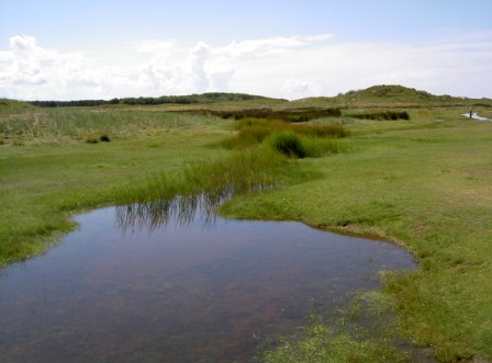 Norderney Dünenlandschaft Fotos