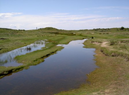 Norderney Dünenlandschaft Ostfriesland Dünen Norderney