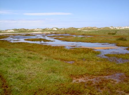 Norderney mit Dünen Nordsee Norderney Dünenlandschaft