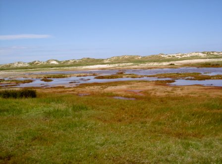 Norderney Dünenlandschaft Meer Norderney Dünen