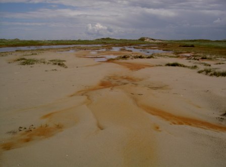 Norderney Dünenlandschaft Wasser Norderney Dünenlandschaft Ney