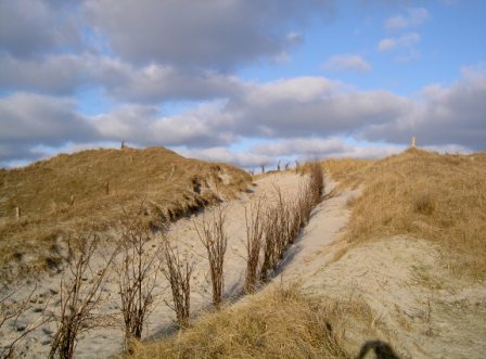 Norderney Dünenlandschaft Nordsee