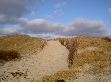 Norderney Dünenlandschaft Deutschland