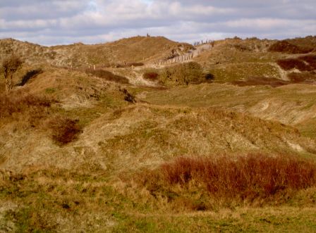 Norderney Dünenlandschaft Deich