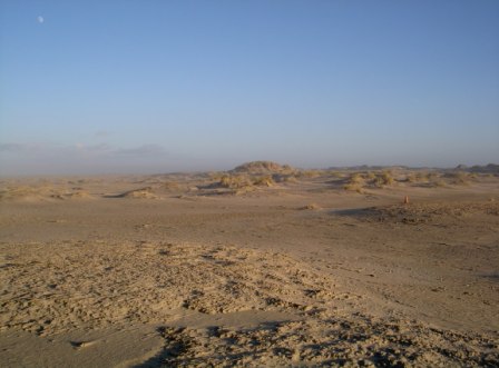 Meer Dünenlandschaft Nordsee Norderney Insel Dünenlandschaft