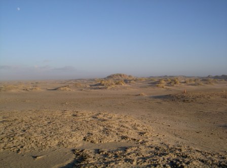 Norderney Insel Dünenlandschaft