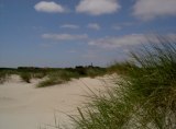 Norderney Dünen der Nordsee