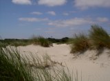 Photos Norderney Dünenlandschaft